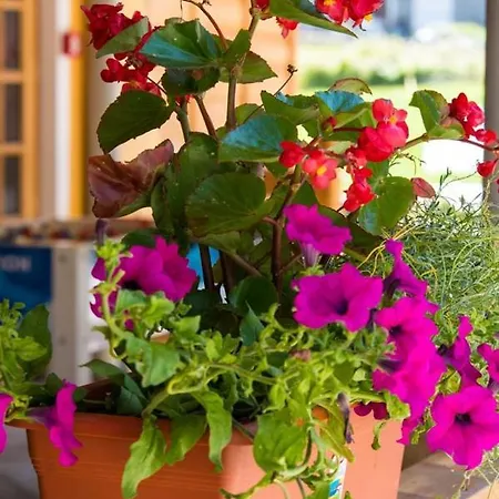 Hotel La Maison Aymavilles