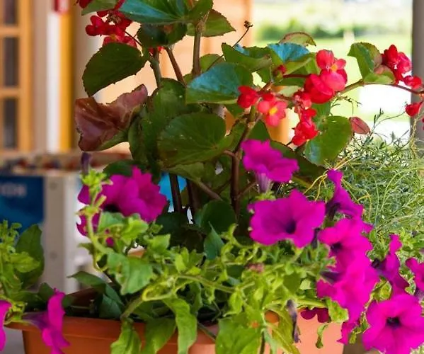 ホテル La Maison アイマヴィル